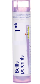 Bellis Perennis 1M Pellets 80 pellets