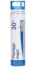 Plantago Major 30C Pellets 80 pellets