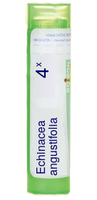 Echinacea Angustifolia 4X Boiron Pellets 80 pellets