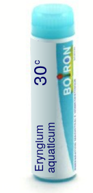 Eryngium Aquaticum 30C Boiron Pellets Unit Dose